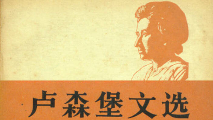 Rosa Luxemburg’s Chinese Career