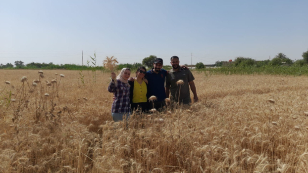 Ein Teil des Teams vom Netzwerk für Ernährungssouveränität «Guez u Nakhl» in Yousefiya, einem Dorf südlich von Bagdad steht auf einem Kornfeld bei blauem Himmel. Es sind vier erwachsene Menschen zu sehen.