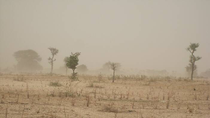 Auf leisen Sohlen – Hungersnot im Sahel