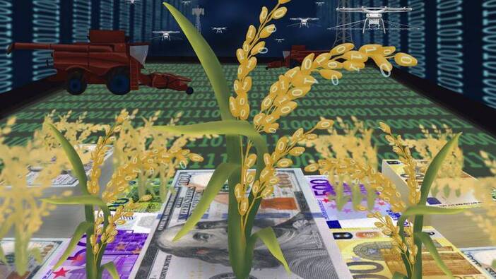 Cashing In on the Climate Crisis through Agricultural Digitalization