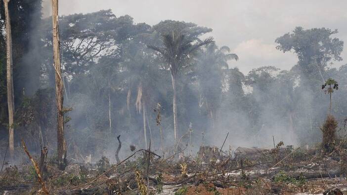 AMACRO: Die Gewalt des Agrobusiness in Amazonien