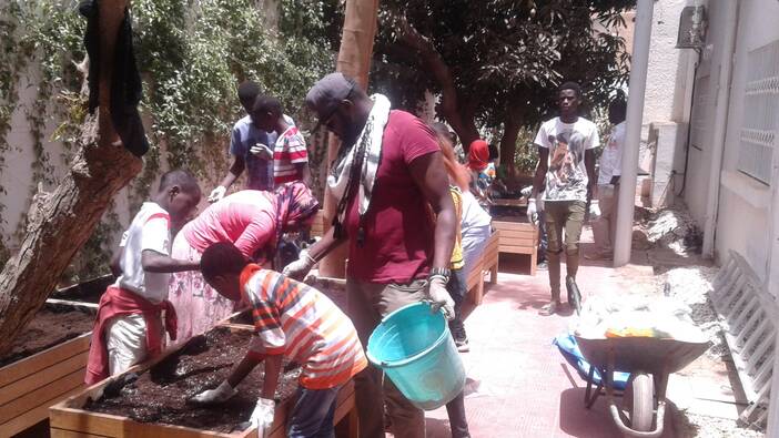 Urban Gardening - bei der RLS in Dakar
