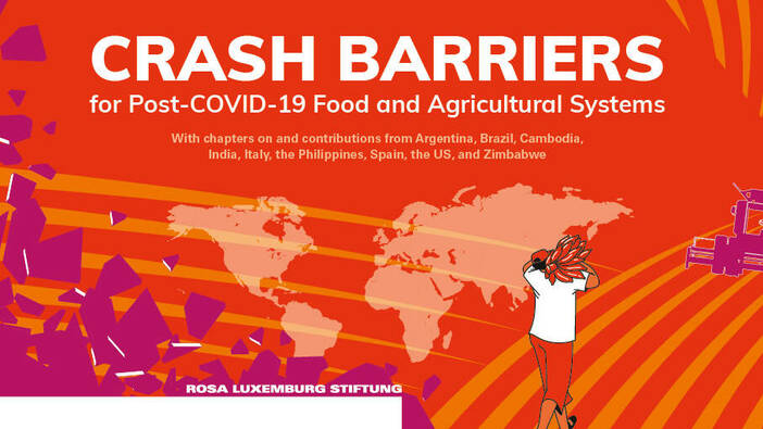 Crash Barriers for Post-COVID-19 Food and Agricultural Systems