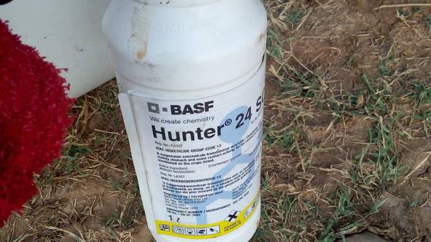BASF-Insektizid Hunter 24: In der EU verboten