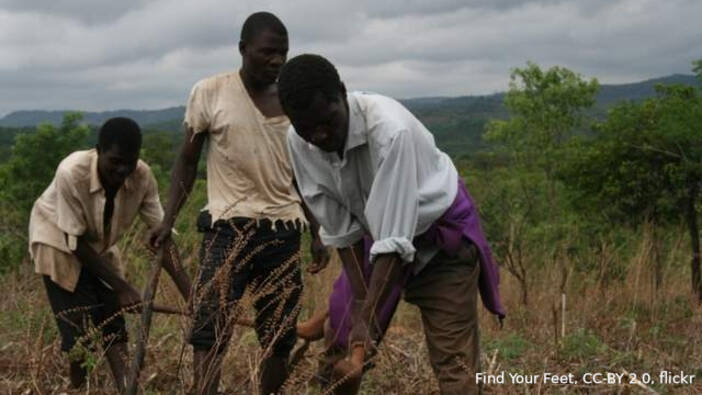 Labour Rights in Agriculture