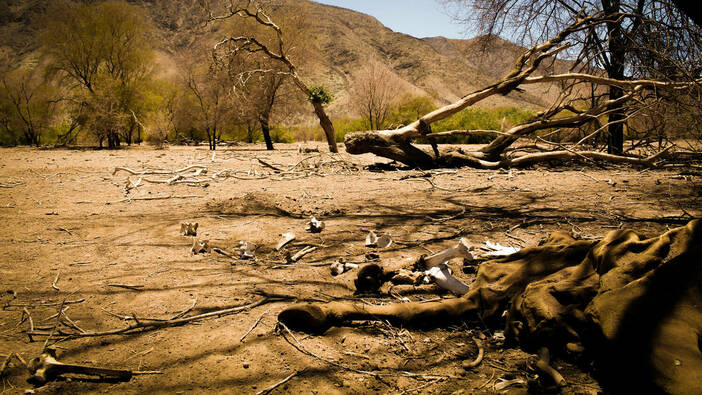 Namibia’s Punishing Drought