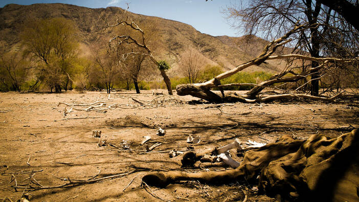Namibia leidet unter schwerer Dürre