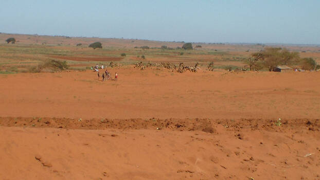 In einer Wüste sind am Horizont einige wenige Bäume und eine kleine Gruppe Menschen.