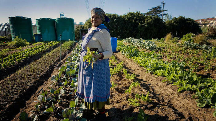 Zeit für einen Green New Deal der südafrikanischen Landwirtschaft