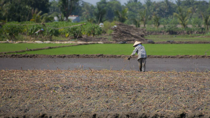 The Many Climate Challenges Facing the Mekong Delta