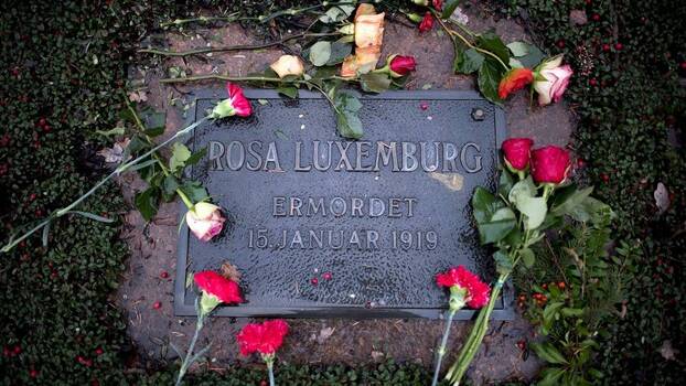 Red carnation flowers at the grave of Rosa Luxemburg in Berlin.