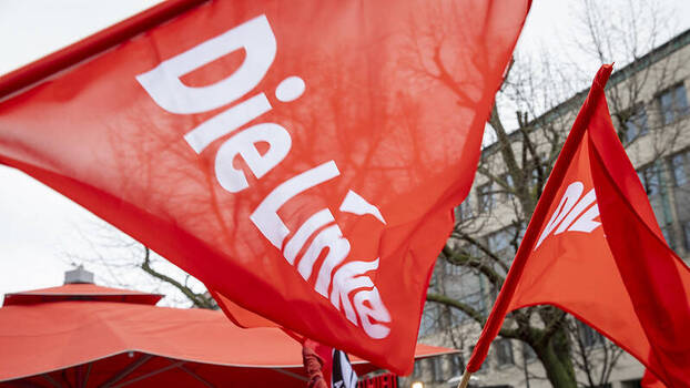 Die Linke flags fly at a rally against the Alternative für Deutschland in Berlin, 3 February 2014.