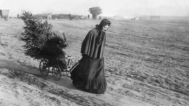 Rückkehr vom Christbaummarkt um 1910 - Ullsteinbild